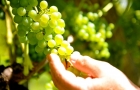 bio-award-hren-strecke-08
