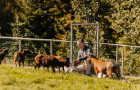 Naturhof_Dopn_Award_2