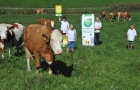 Pobaschnig-bio-award-kaernten-2014-05