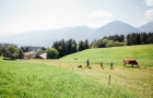 bio-award-kaernten-2020-weger-gallery-04